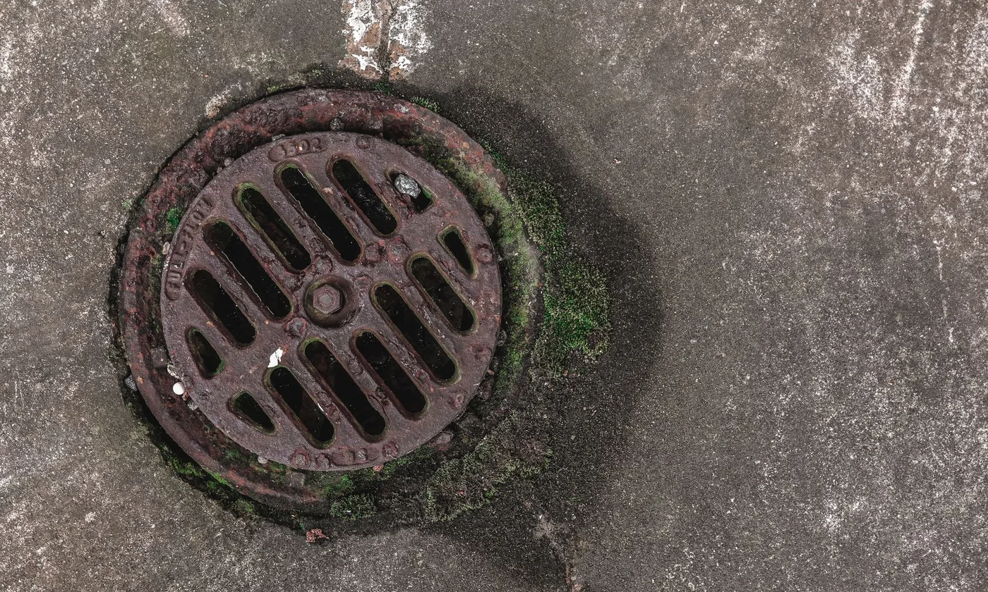 Floor drain grate