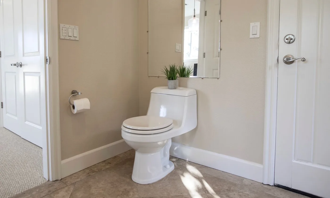 Contemporary bathroom with a white toilet